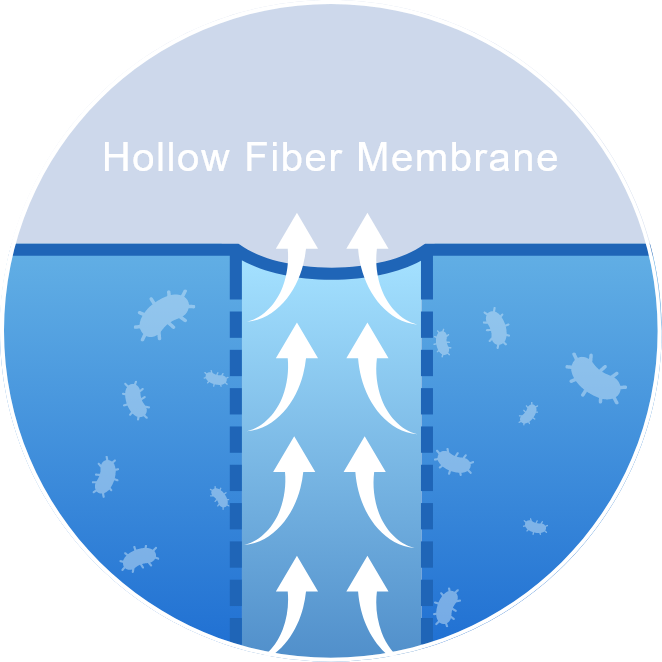 Hollow Fiber Membrane